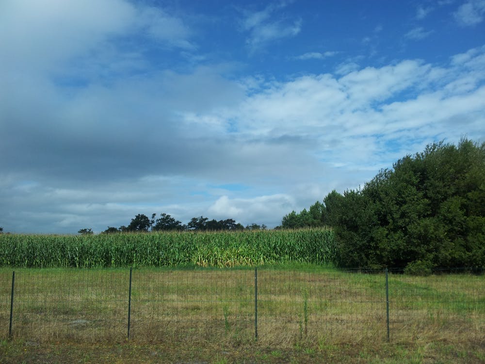 中国古典舞者在舞台上表演