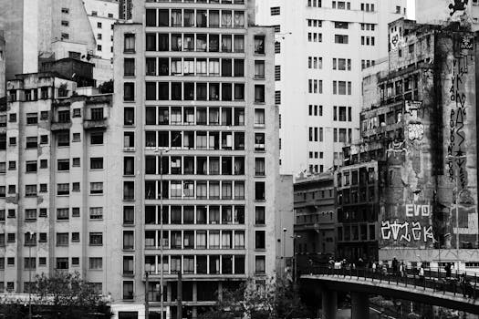 圣保罗单色城市景观中的高层建筑与涂鸦