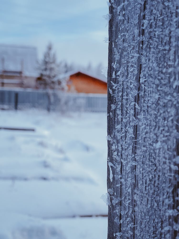 Blurry Winter View Of Cottage From Behind Wooden Fence