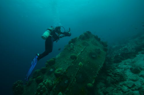 Person in Black Diving Suit Underwater