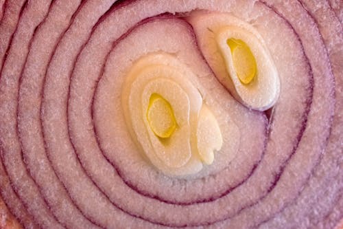 Foto profissional grátis de alimento, cebola, ciclos