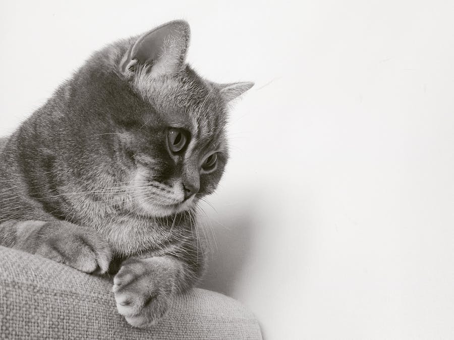 Should you sit up straight on the toilet?