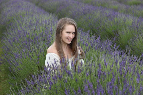 무료 라벤더 꽃, 라벤더 꽃밭, 미소 짓는의 무료 스톡 사진