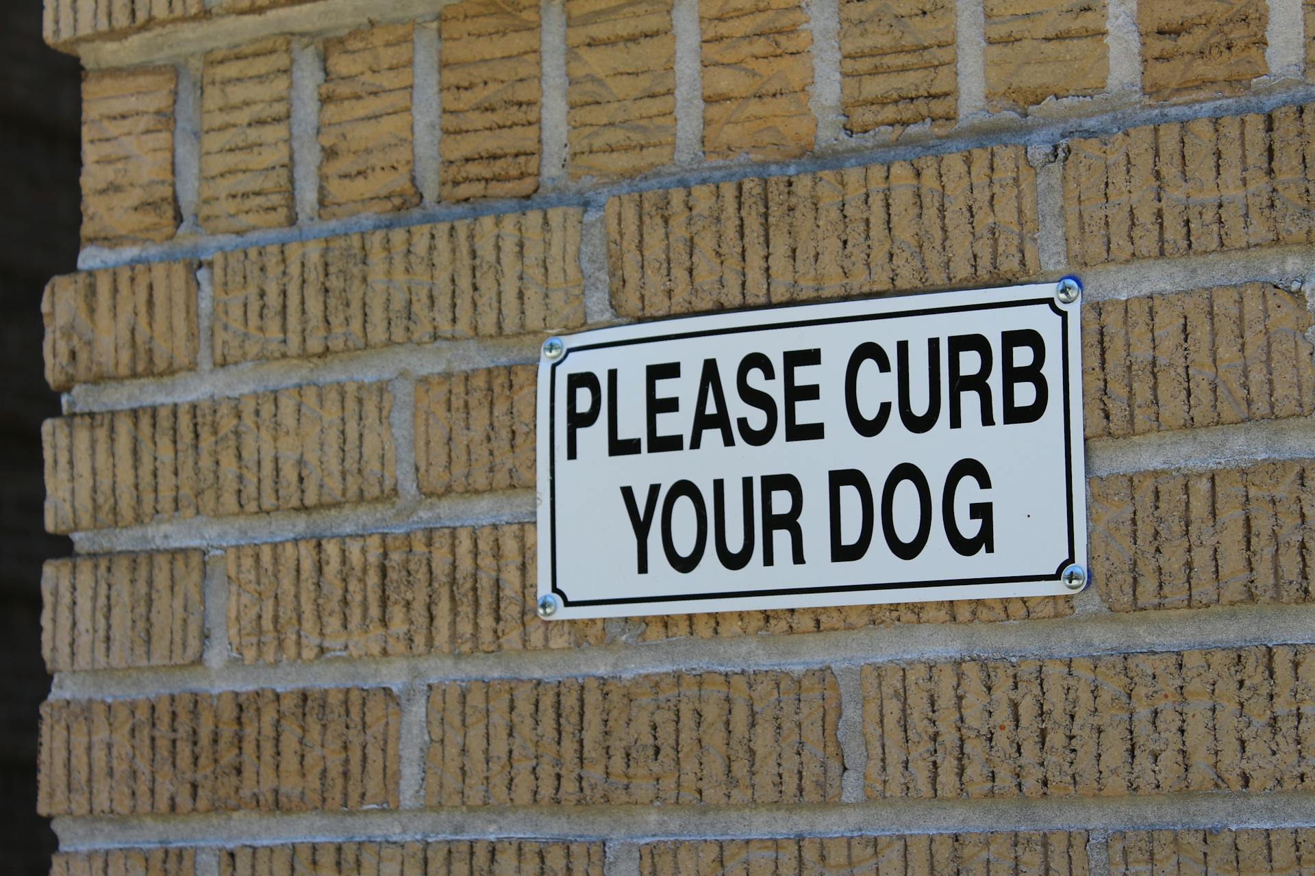 Please Curb Your Dog Signage