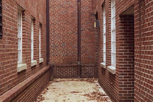 Free Photograph of an Alley with Brick Walls Stock Photo