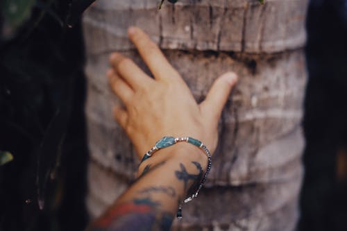 A Person Touching a Tree Trunk