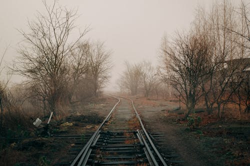 Railway Tracks in Countryside in Fog