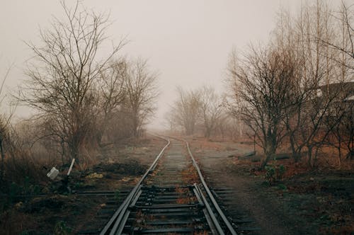 Foto profissional grátis de alvorecer, ao ar livre, campo