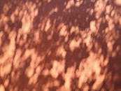 Photograph of an Orange Wall