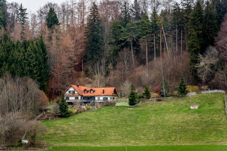 House On Hill Near Forest