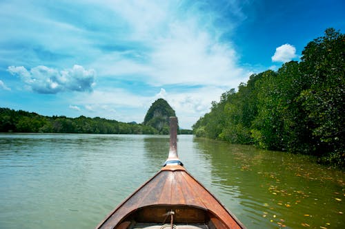 Brown Wooden canoe near trees