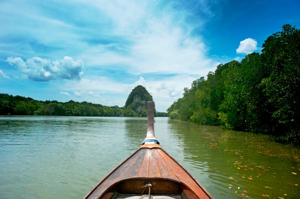 Kayaking & Mangrove Tours