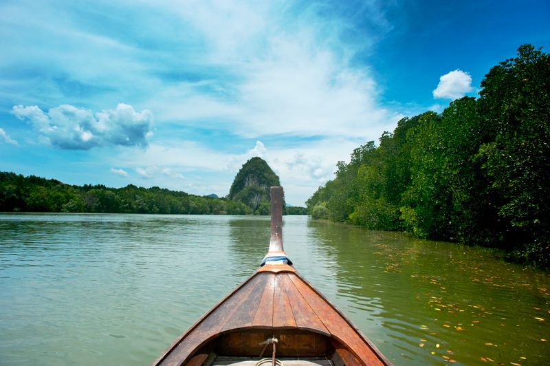 Kayaking & Eco Tours