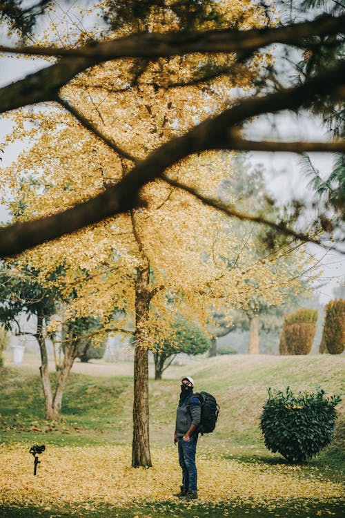 Man in Gray Jacket Standing Under an Autumn Tree