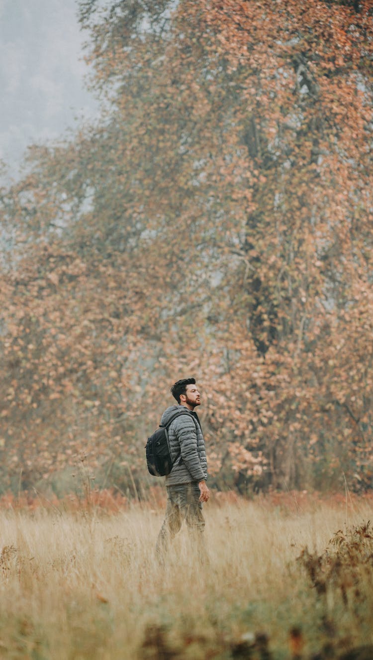 Backpacker Hiking In Autumn