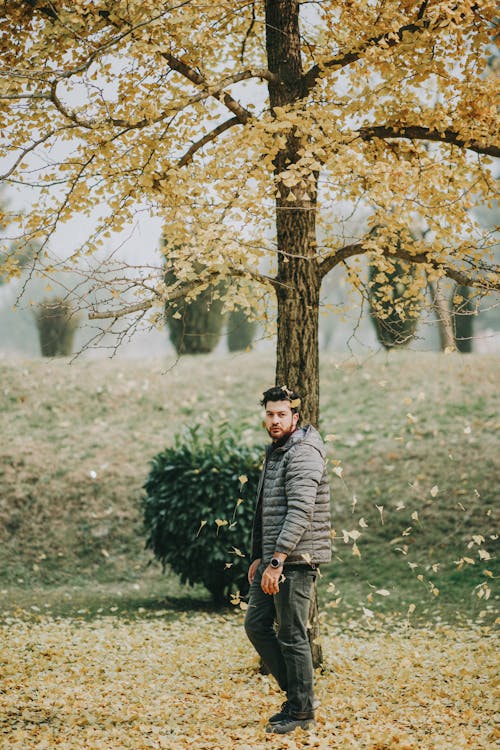 Man in Gray Jacket Standing Near an Autumn Tree