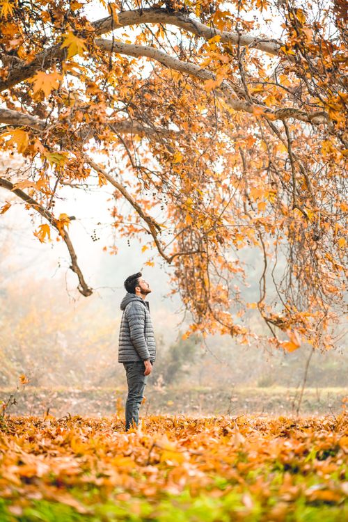 Free A man in a jacket stands amidst colorful autumn leaves in a serene park setting, enjoying nature's beauty. Stock Photo