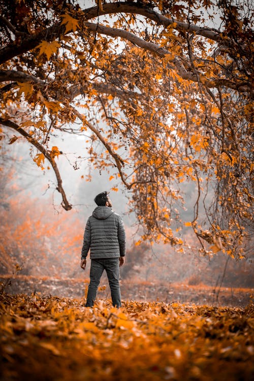 Man in Gray Jacket Standing on Brown Dried Leaves Under an Autumn Tree
