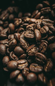 Close-up of aromatic roasted coffee beans highlighting rich textures and dark tones.