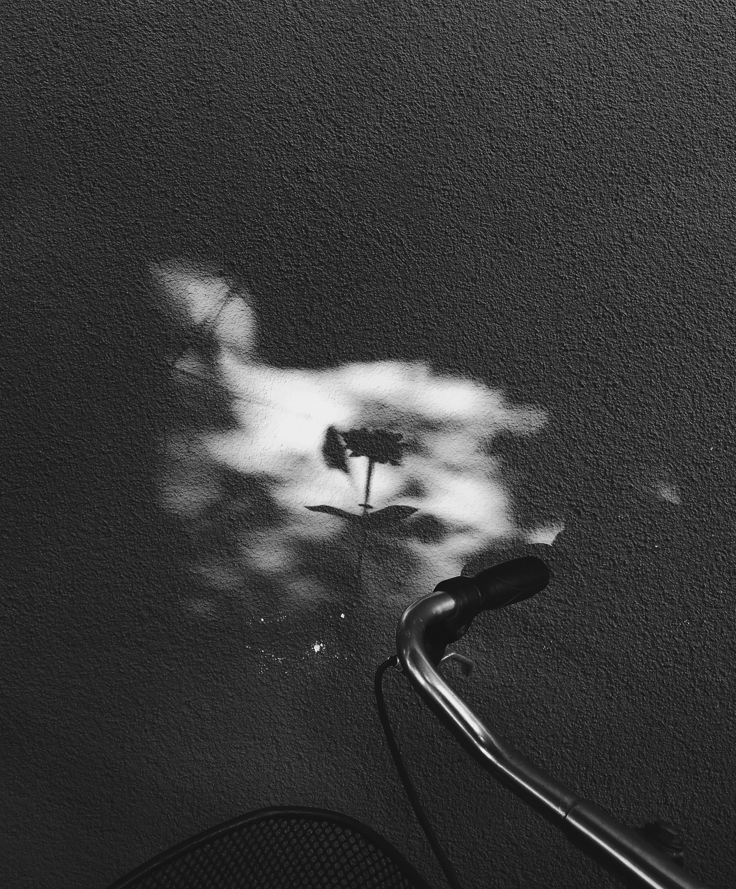 An artistic monochrome photo capturing flower shadows on a wall alongside a bike handlebar.