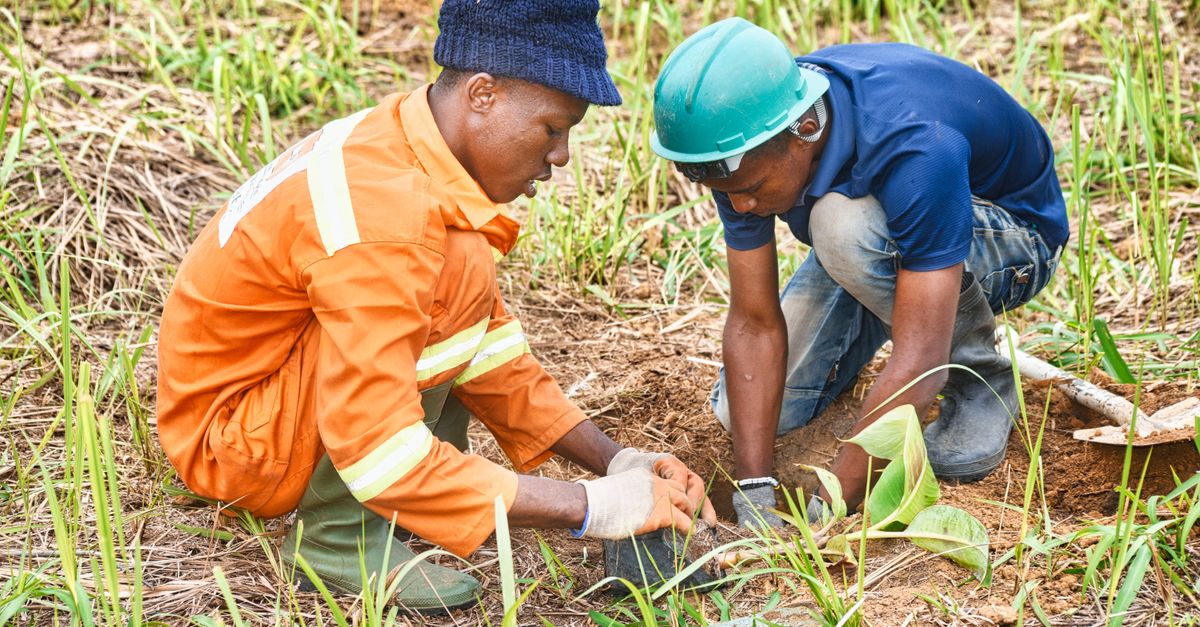 greenworks 4 africa