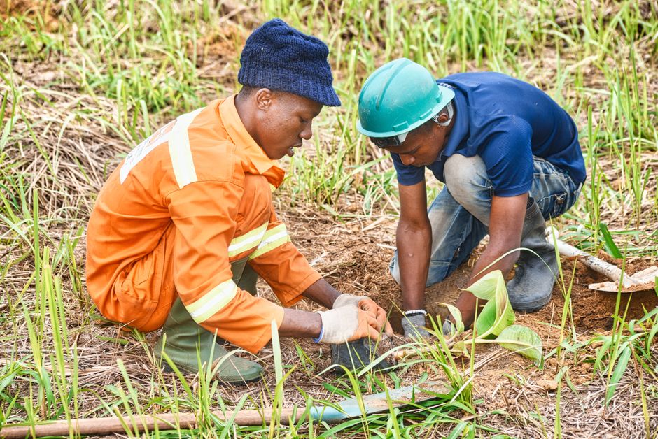 Two men planting crops in an agricultural field while wearing safety gear.