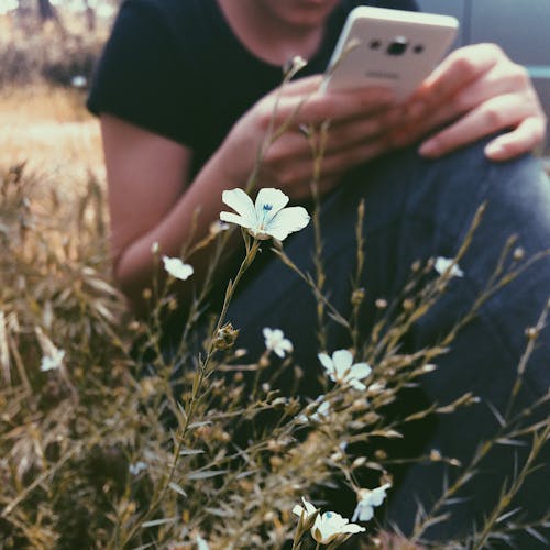스마트 폰을 들고 여자 근처에 흰색 꽃잎 꽃의 선택적 초점 사진