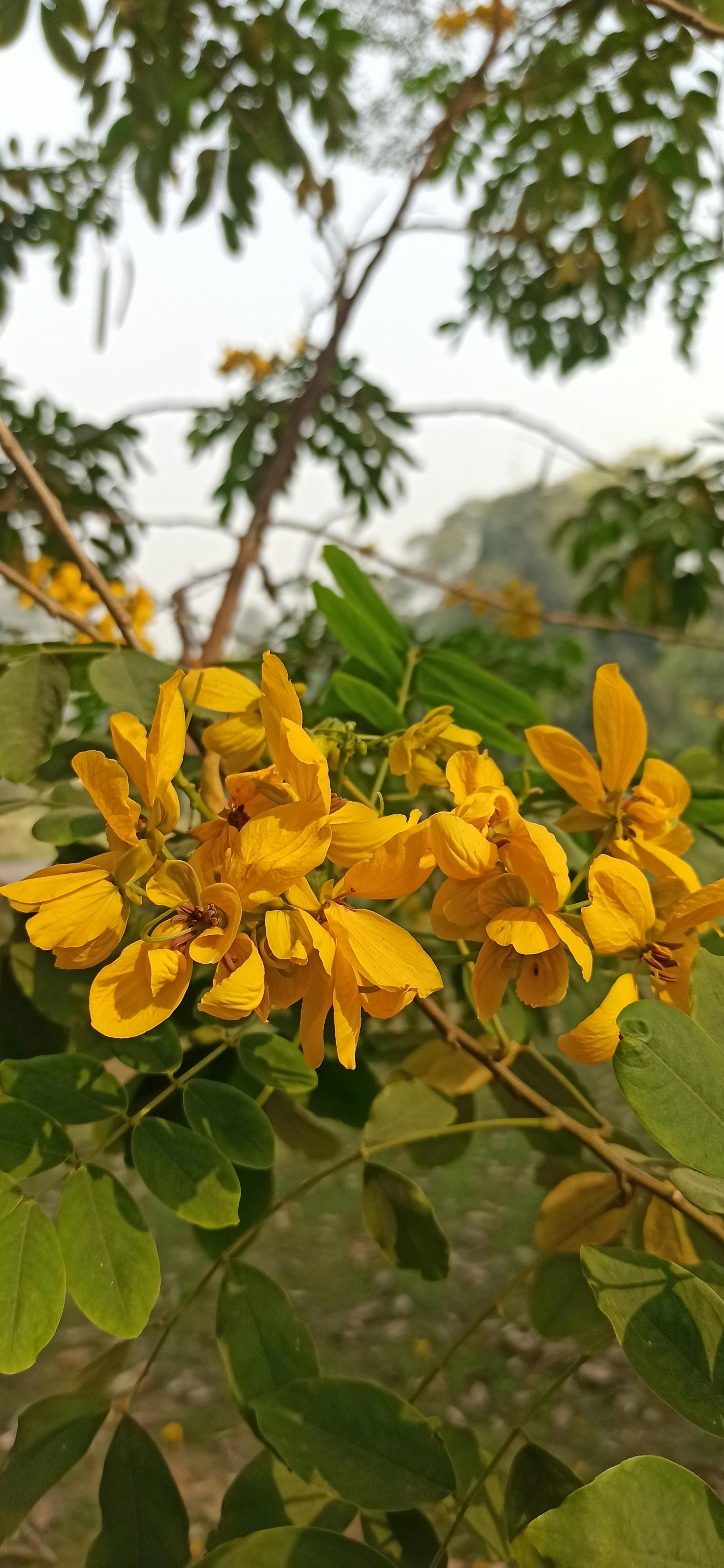 Cara membuat baju couple sendiri