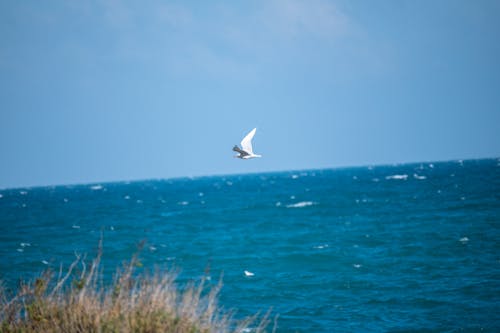 Бесплатное стоковое фото с италия, море, небо