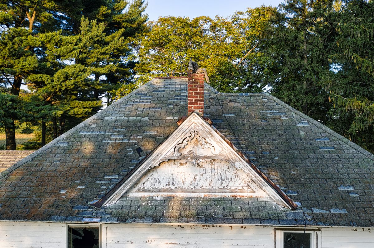 Aging home roof near trees – time to consider roof replacement