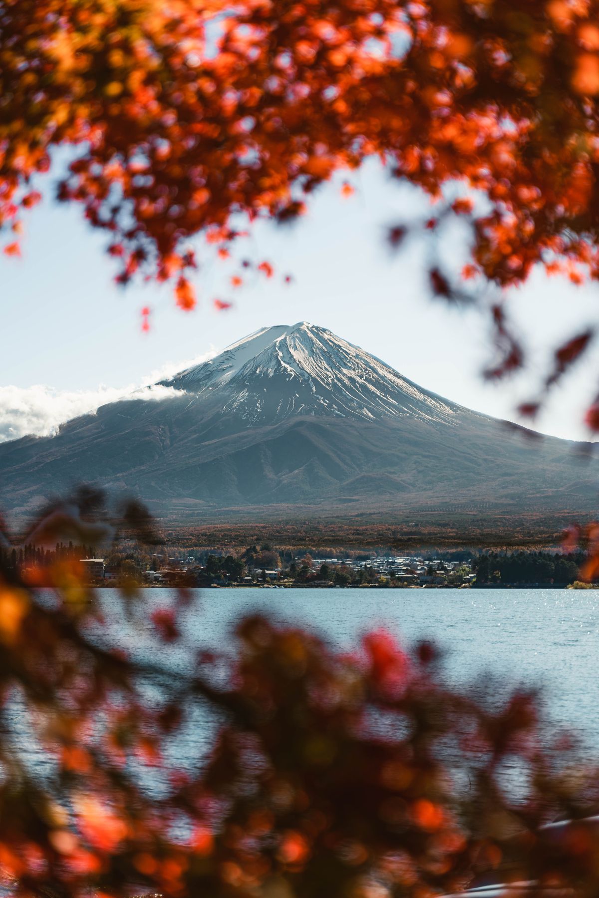 Mount Fuji framed by vivid autumn red maple leaves with Lake Kawaguchi in the foreground — the classic Yamanashi north-shore photograph