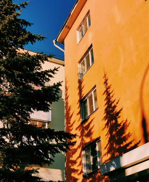 Free Exterior of an orange building with tree shadows in Arkhangelsk, Russia. Stock Photo