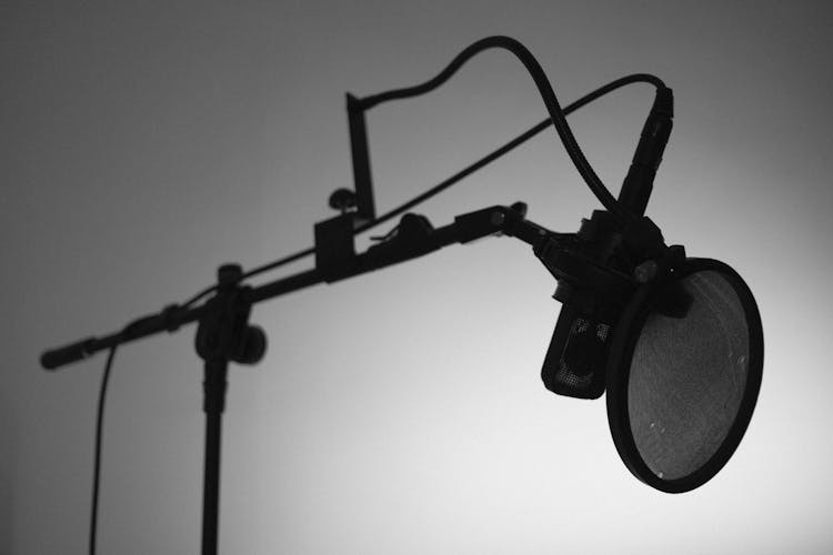 Microphone With Pop Filter