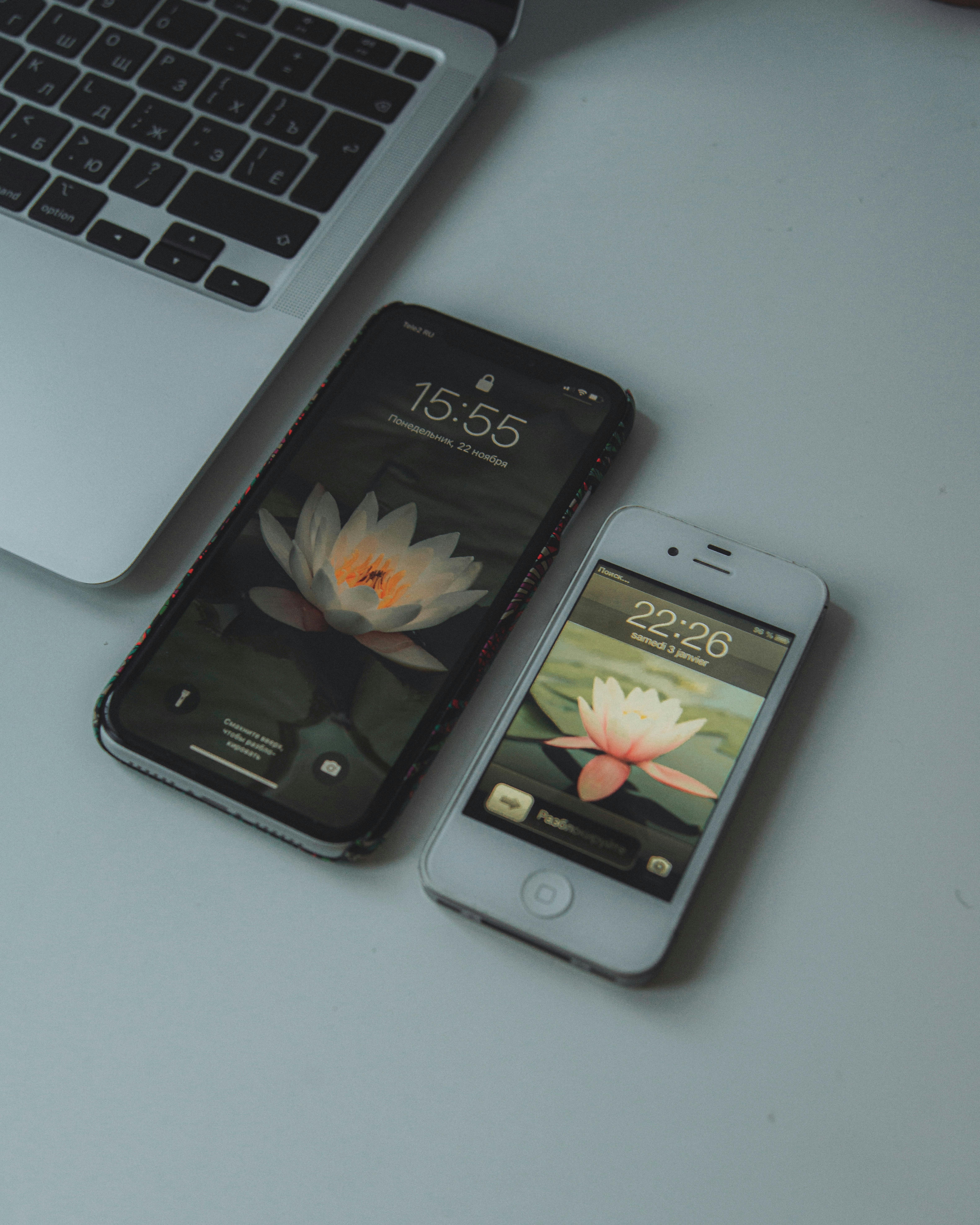 Ingyenes stockfotó asztali, asztali beállítások, beállítás témában Stockfotó