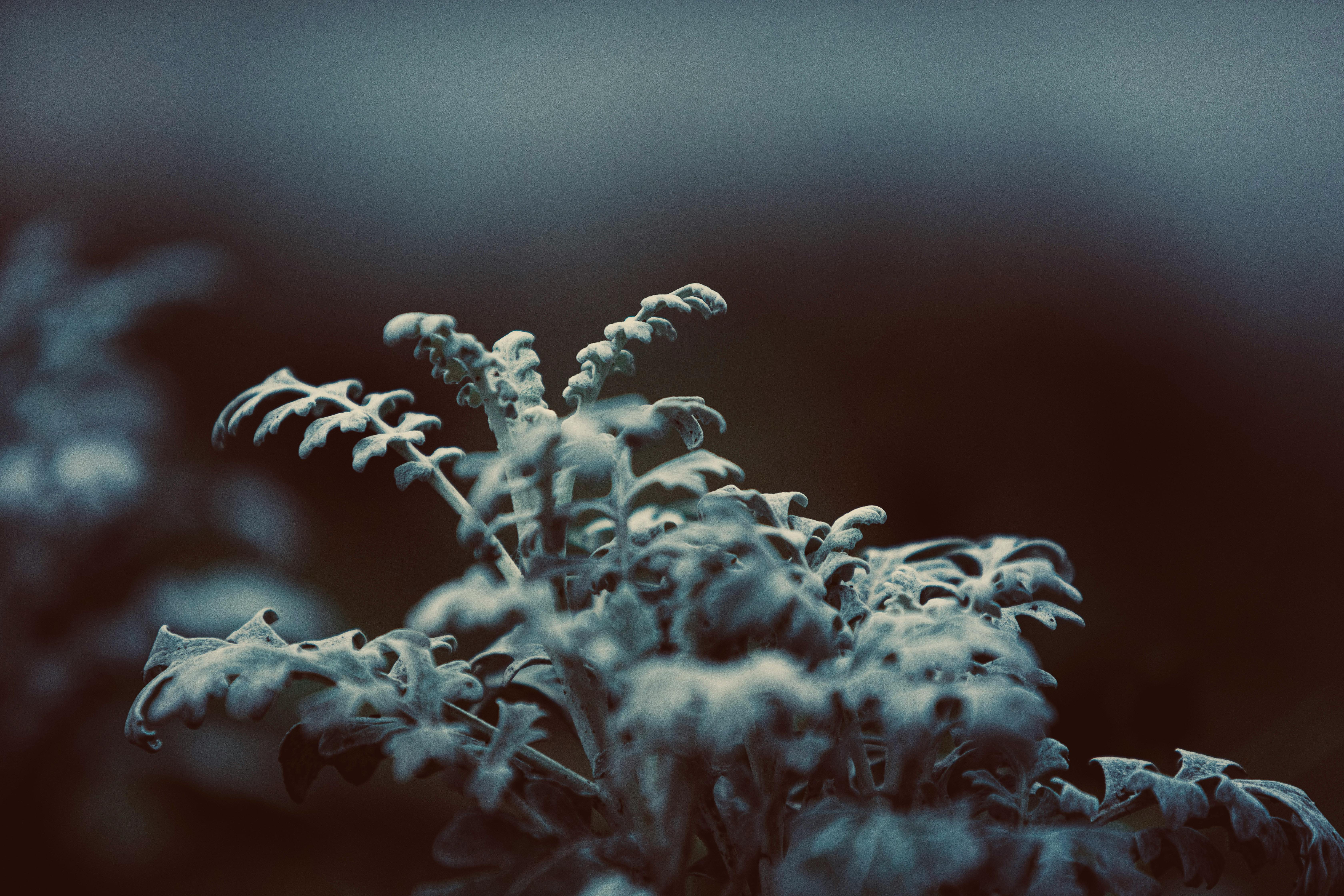 바르게 서 있는 사람의 다리 이미지