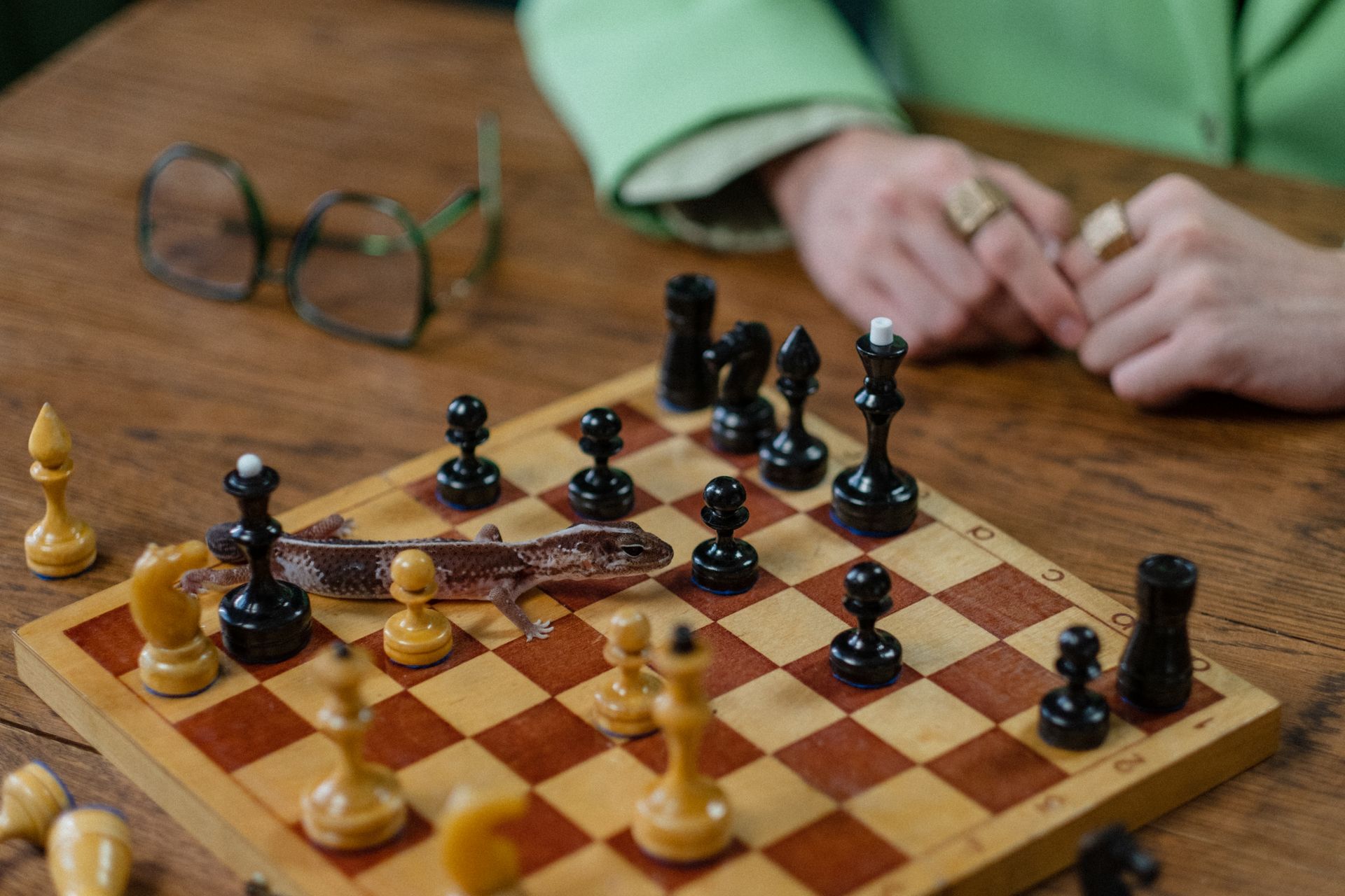 Lizard on Chessboard