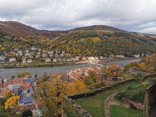 Aerial View of Town Near Green Trees and Mountain