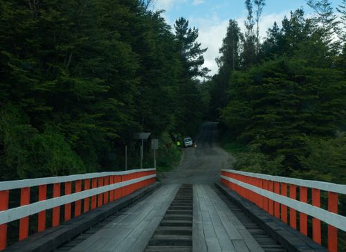 Free stock photo of bridge, forest, sony alpha Stock Photo