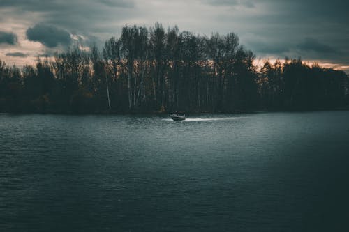 bezplatná Základová fotografie zdarma na téma čeření, člun, jezero Základová fotografie