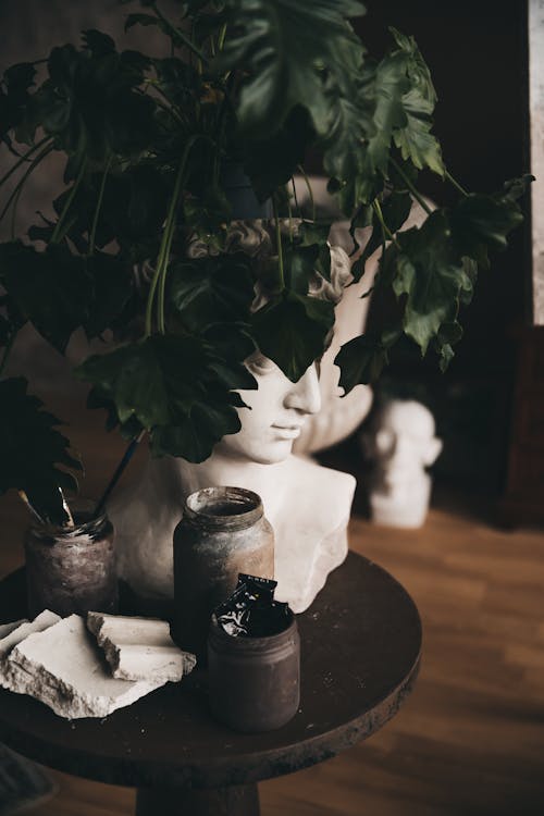 A Shot of Bust Behind a Plant in Art Studio 