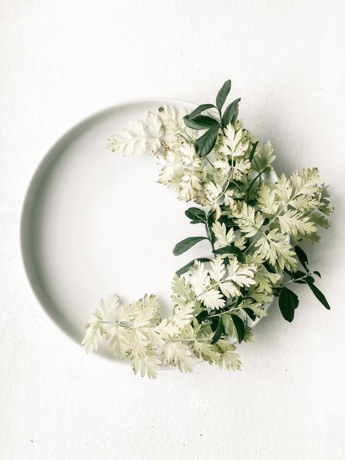 Elegant flat lay of delicate leaves on a circular plate, perfect for copyspace with a minimalist touch.