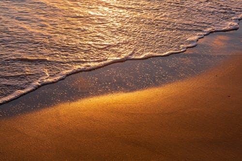 Foto stok gratis busa laut, gelombang, matahari terbenam di pantai