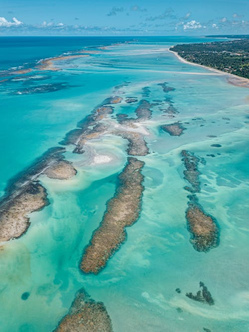 Blue Sea and Coastline 