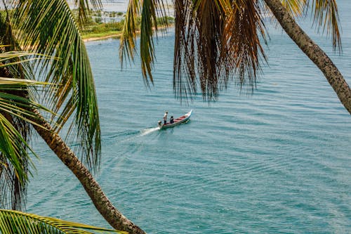 Free People in Boat on Water and Palm Trees  Stock Photo