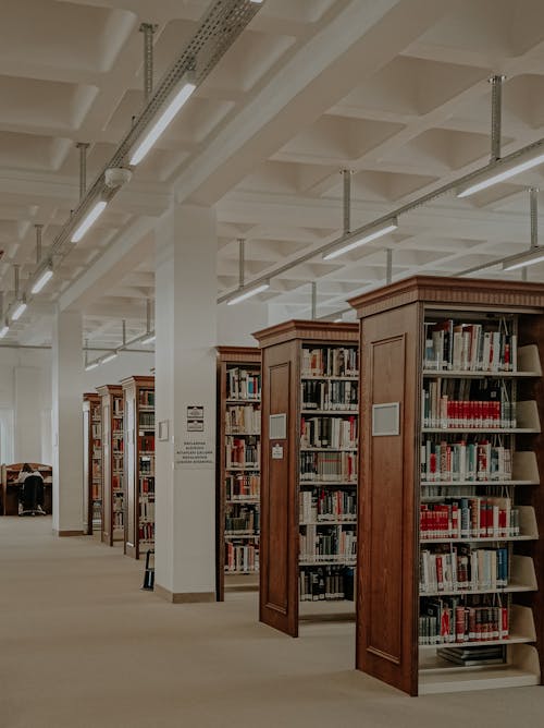 Photo of Books in a Library