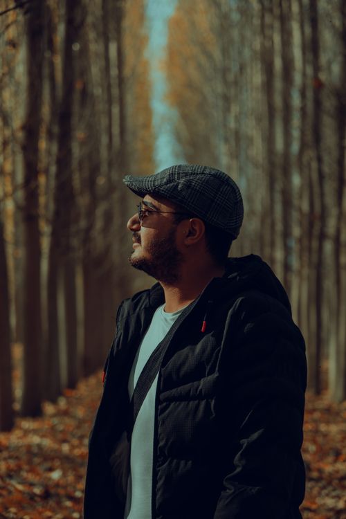 Free Man in a flat cap and jacket gazing up at tall trees in a forest during fall. Stock Photo