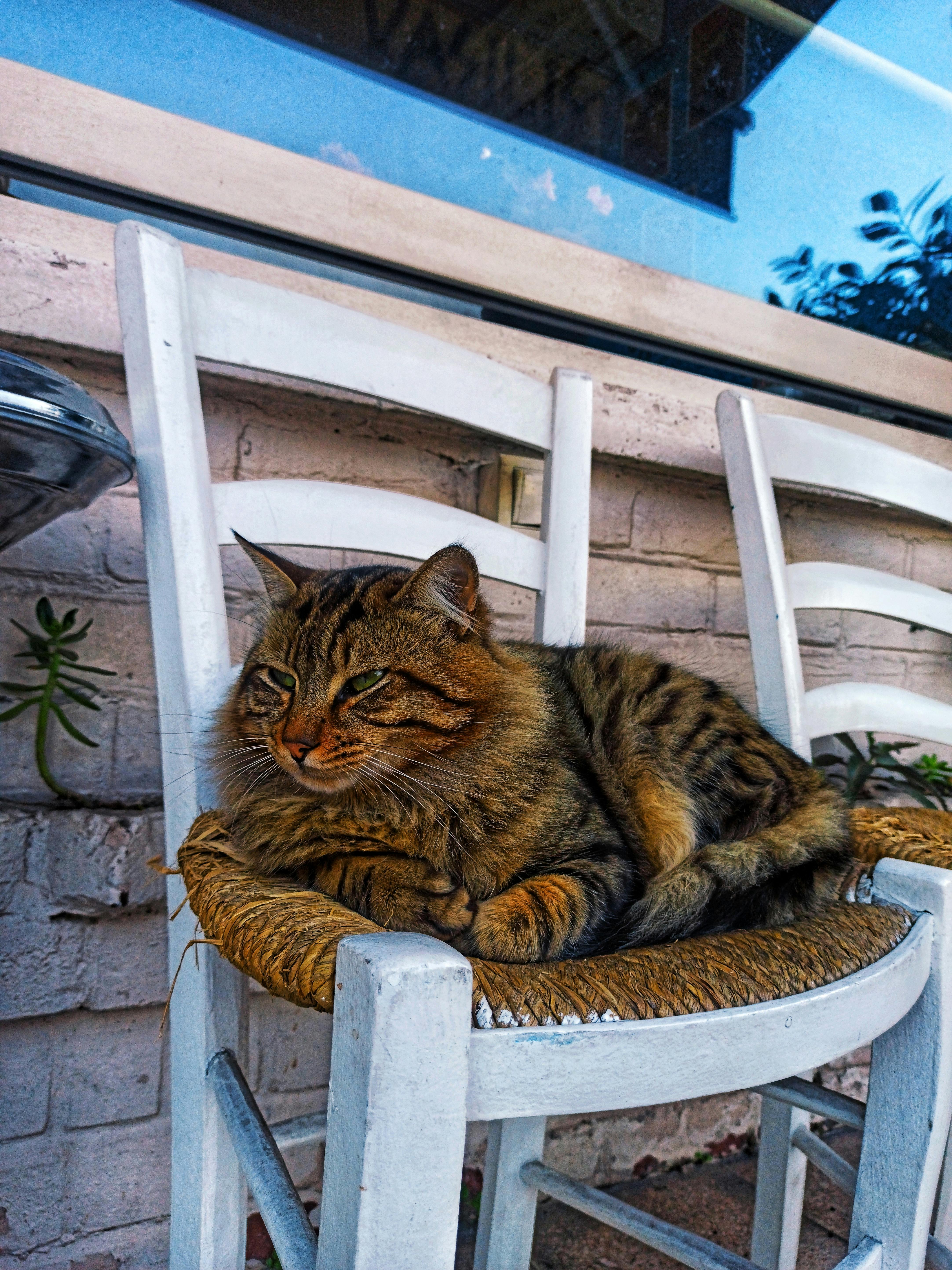 Image of a server room with blue lights, representing a secure data center environment.