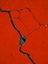 Brown Dried Tree Branch on Orange Wall