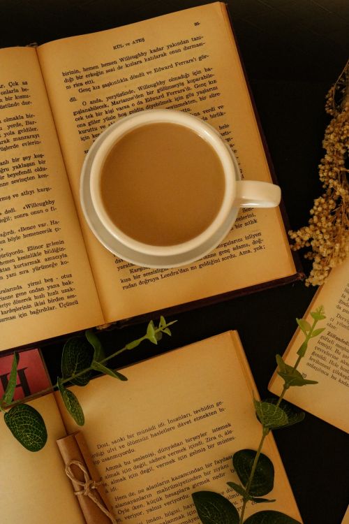 Free A cozy setup with a cup of coffee, open books, and greenery, perfect for reading time. Stock Photo