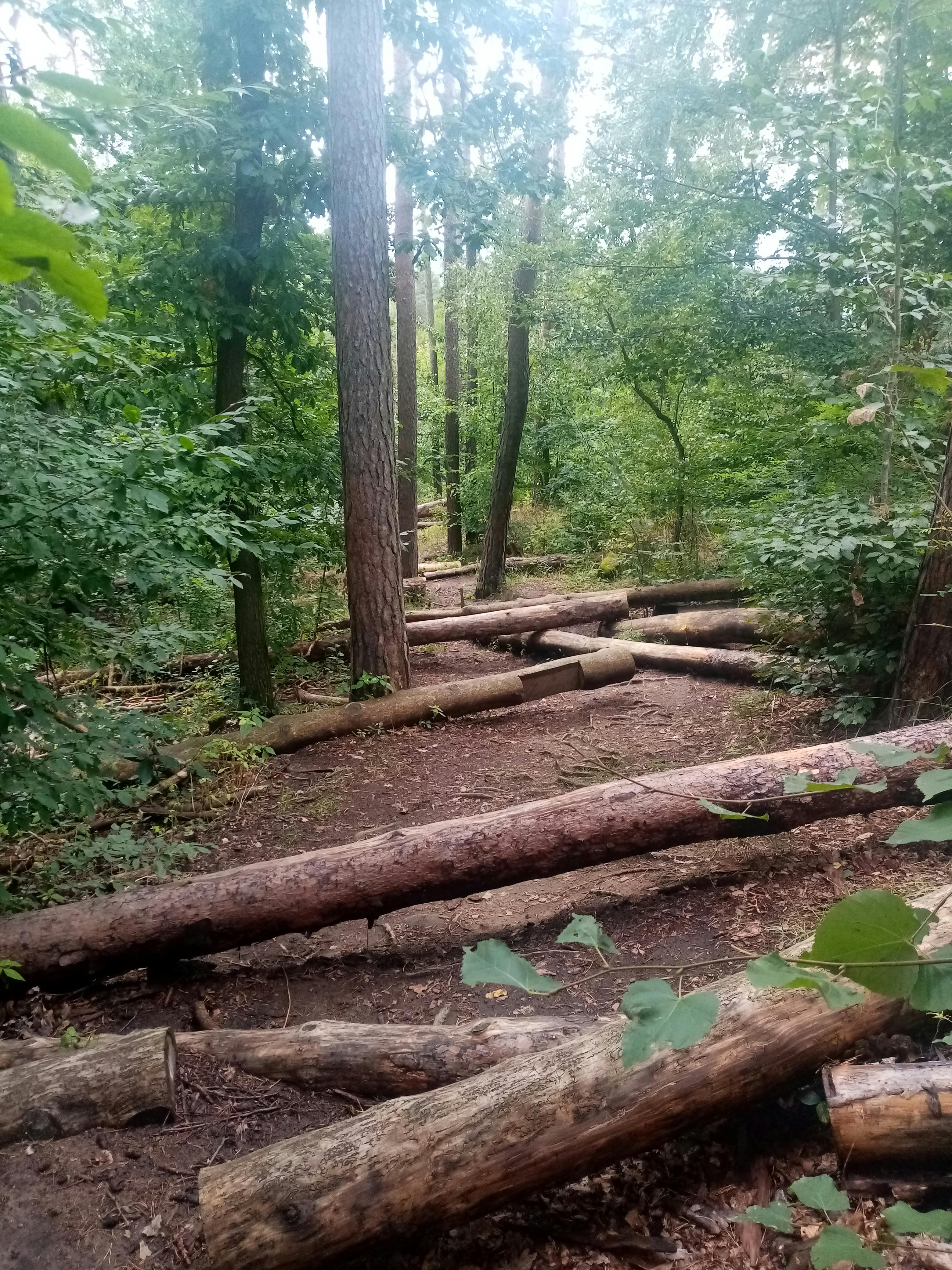 Какао-бобы и какао-порошок